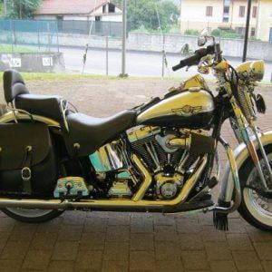 2003 Harley Davidson Centenary Springer