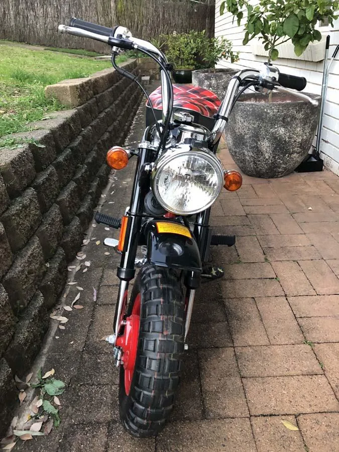 2007 Honda Z50 40th Anniversay Monkey - Raider Moto